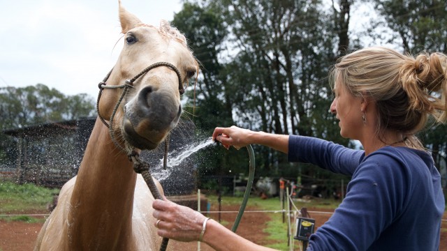 Texte – 5 330 km en Australie sur des chevaux sauvages
